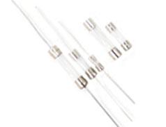 Glass Fuses