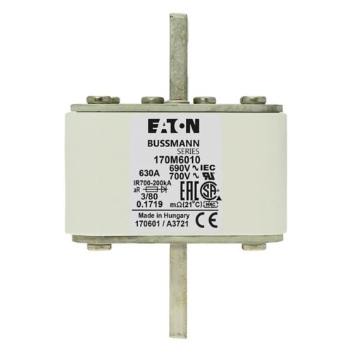 170M6010