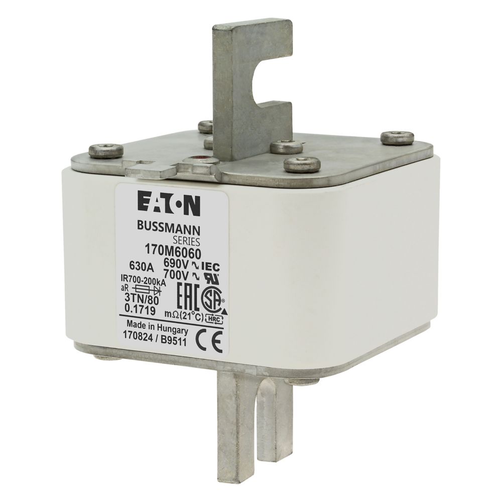 170M6060