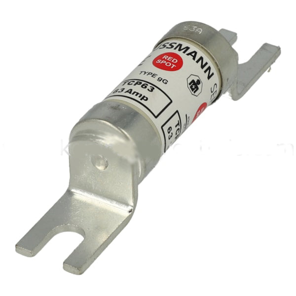 TCP63